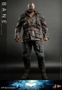 *PRE-ORDER Bane - The Dark Knight Rises Hot Toys Collectibles 1/6 Scale Action Figure -Hasbro Store bane dc comics gallery 63c976ed53e1c lg