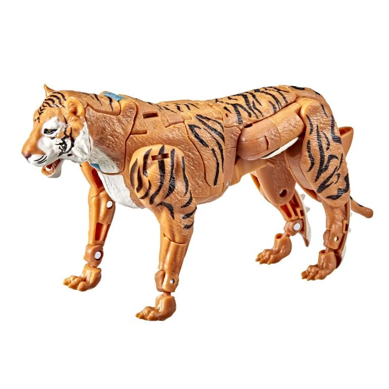 Hasbro Transformers War For Cybertron Golden Disk Collection Action Figure - Mutant Tigatron (Amazon Exclusive) 5 Hasbro Transformers War For Cybertron Golden Disk Collection Action Figure - Mutant Tigatron (Amazon Exclusive) - Image 4