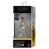 Hasbro *PRE-ORDER Star Wars Black Series Phantom Menace Exclusive 6 Inch Action Figure - Anakin Skywalker